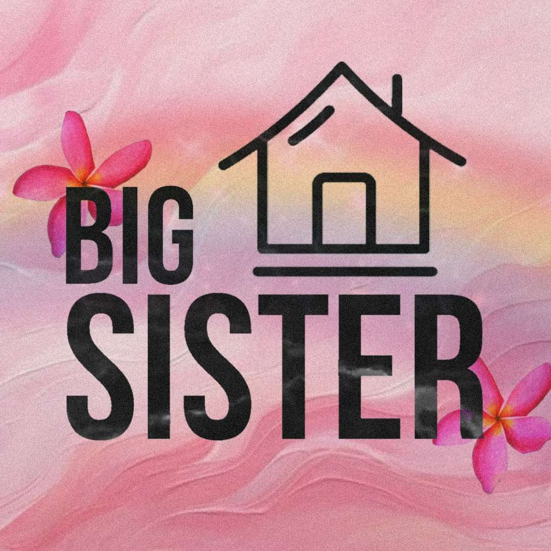 Big Sister Season 07 β Paradise Hotel logo