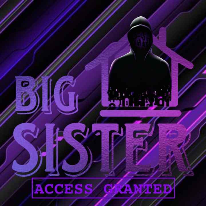 Big Sister Season 10 β System Breach logo